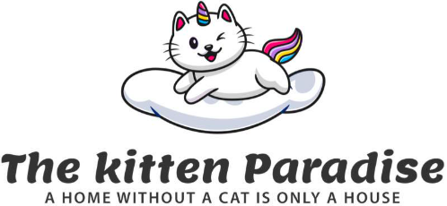 brave Kittens Paradise